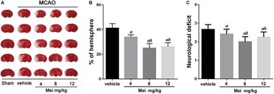 Meisoindigo Protects Against Focal Cerebral Ischemia-Reperfusion Injury by Inhibiting NLRP3 Inflammasome Activation and Regulating Microglia/Macrophage Polarization via TLR4/NF-κB Signaling Pathway